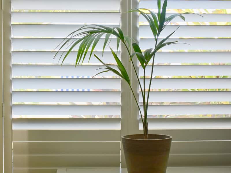 Modern white interior showing sunlight filtered through window after installing plantation shutters.
