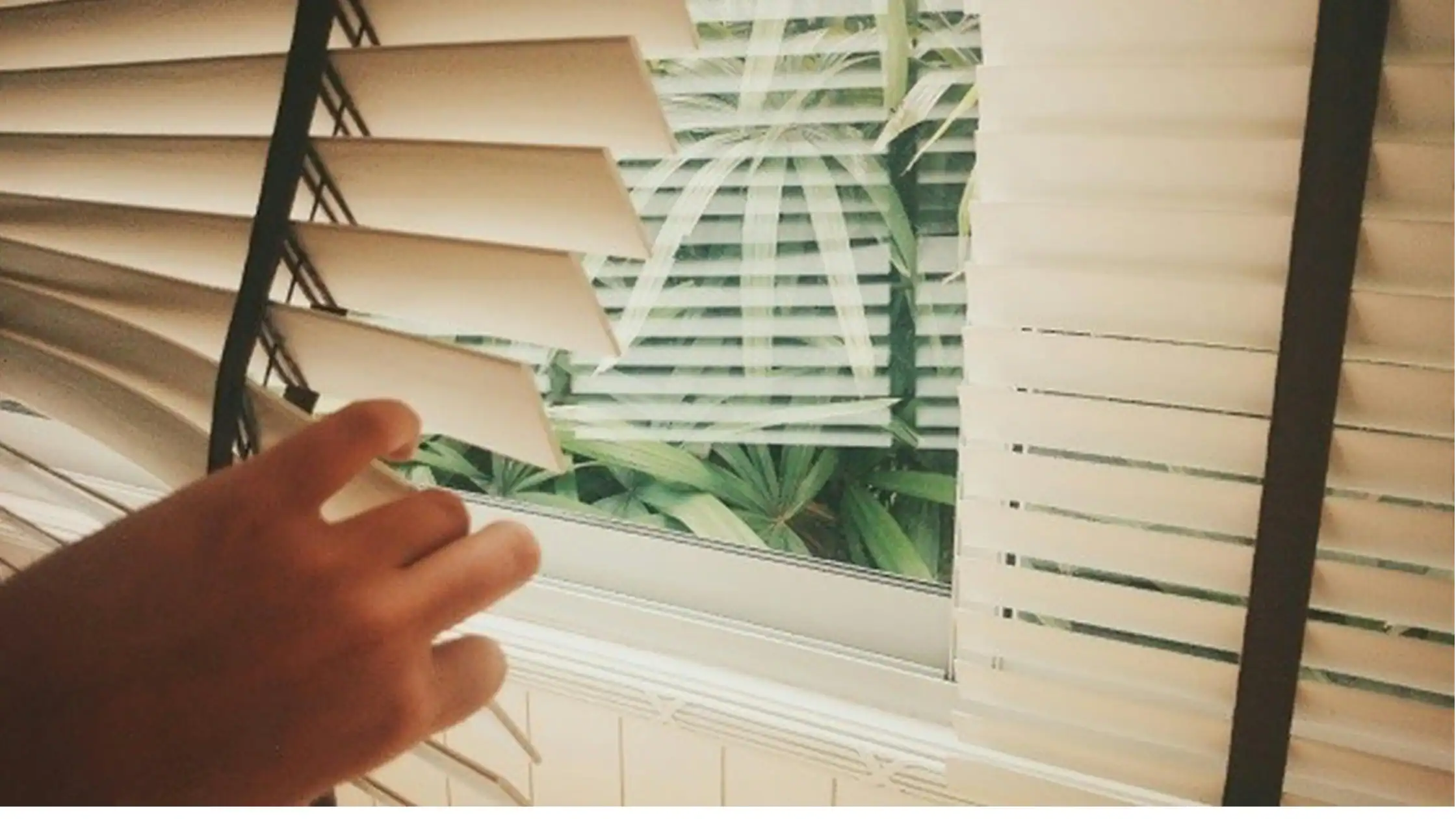 best plantation blinds