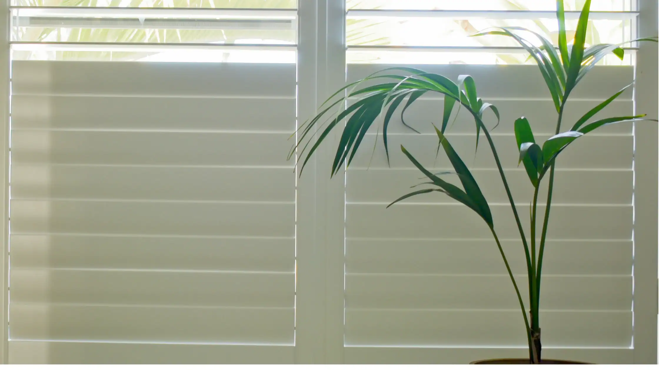 plantation shutters sydney cost